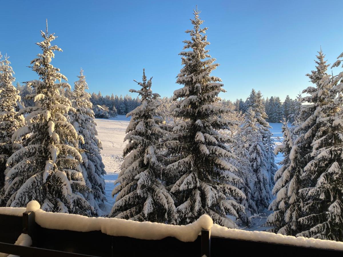 Schwarzwald Kniebis *
